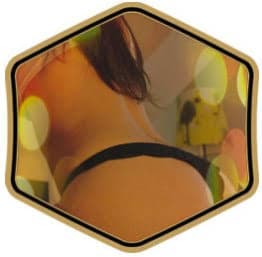 Modelo Cam4Gold